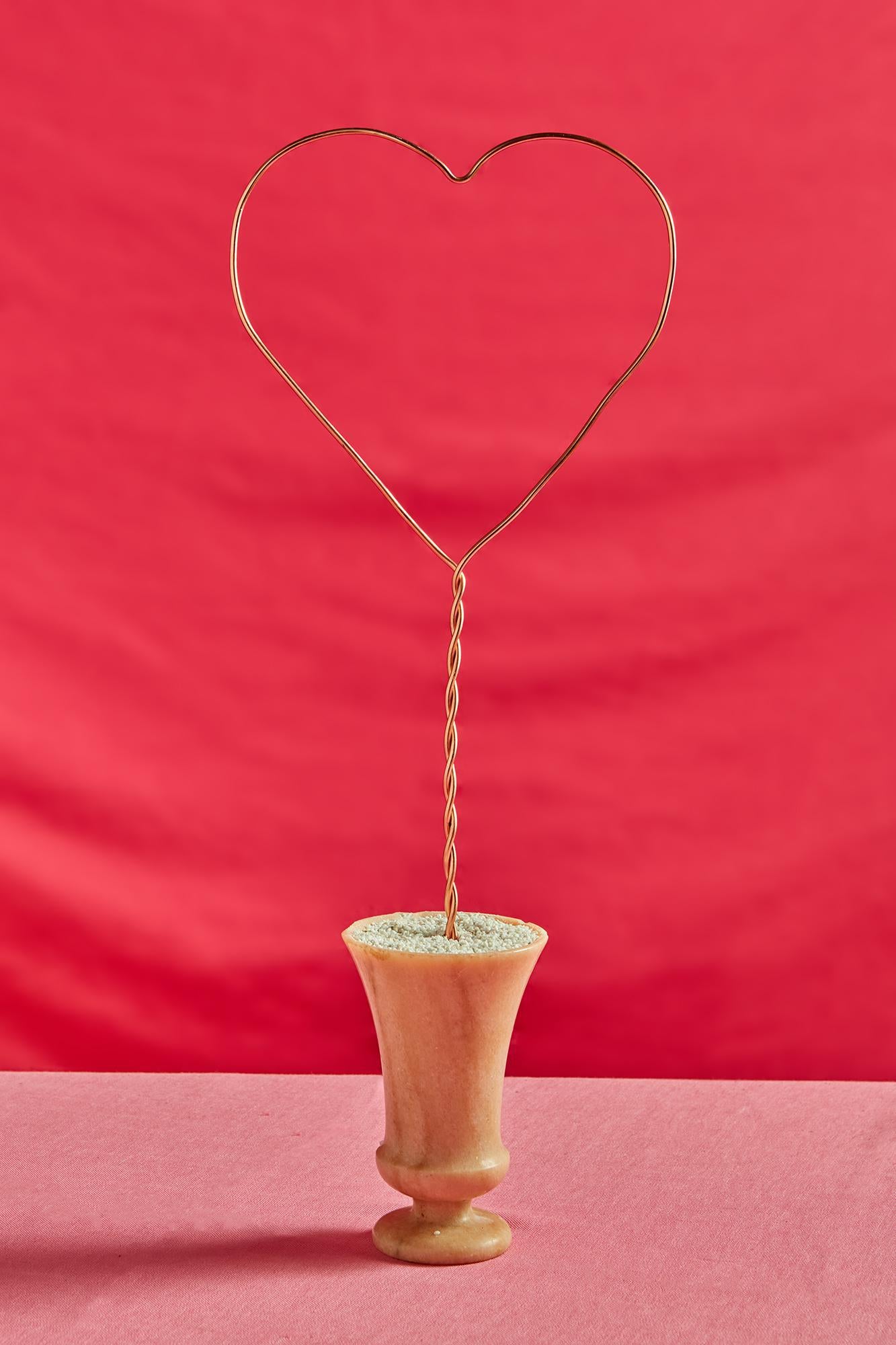 Heart Plant Trellis