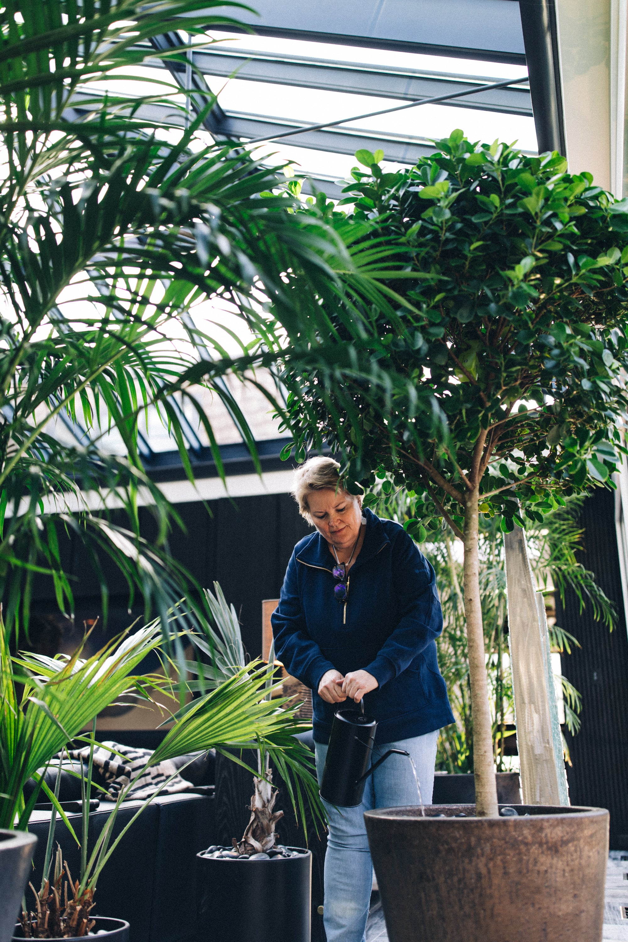 Quarterly Care Service - 4 Visits/Year