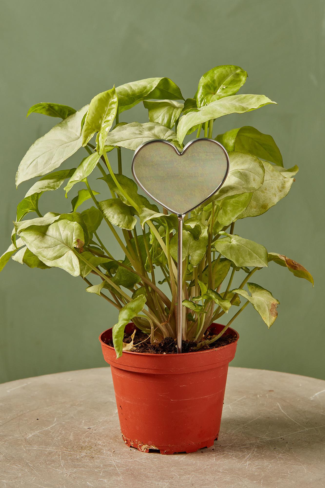 Stained Glass Heart Stake