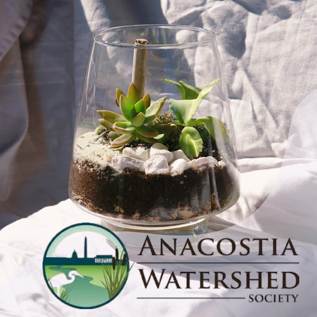 Terrarium Bar for Anacostia Watershed Society