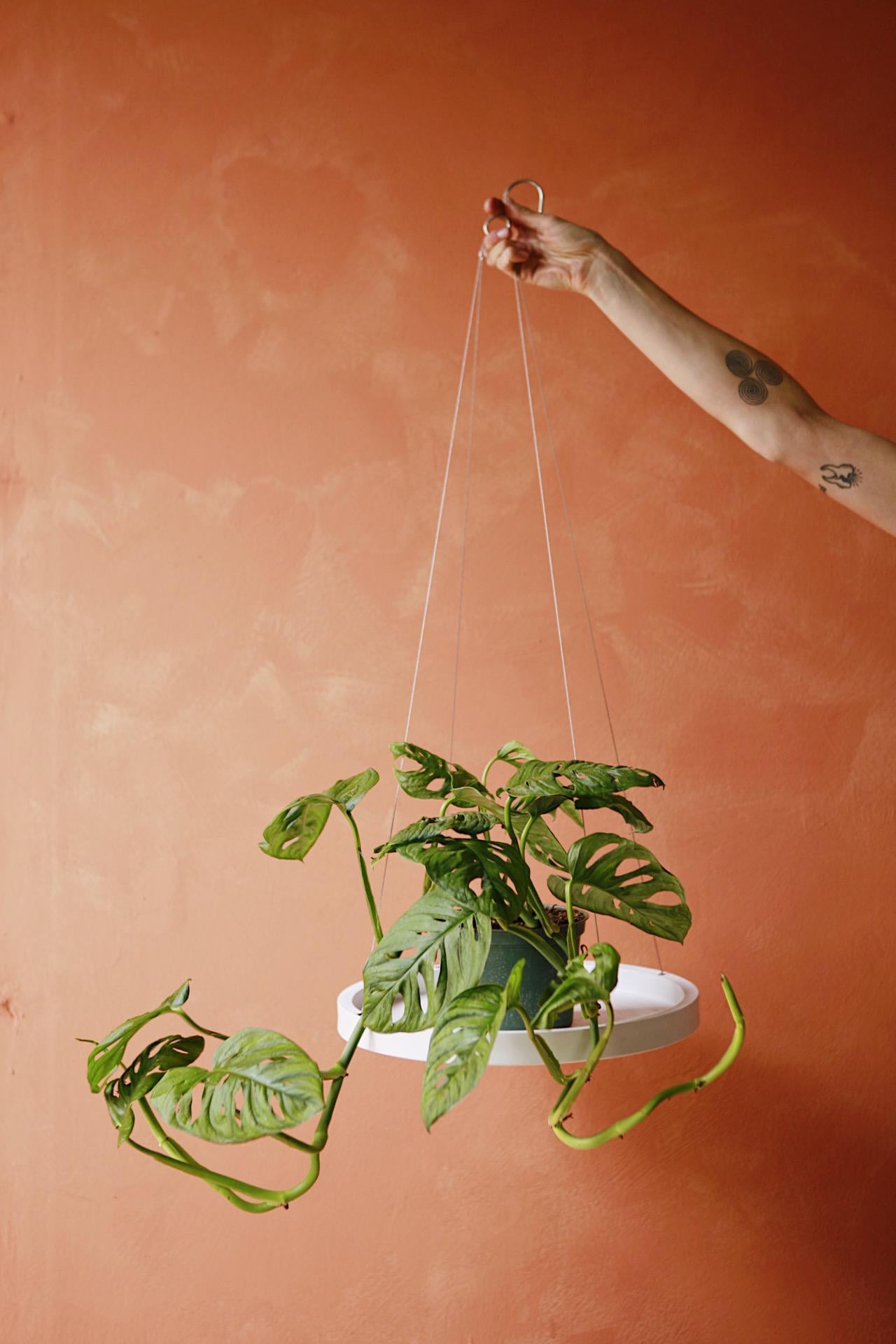 Ecopots Hanging Saucer
