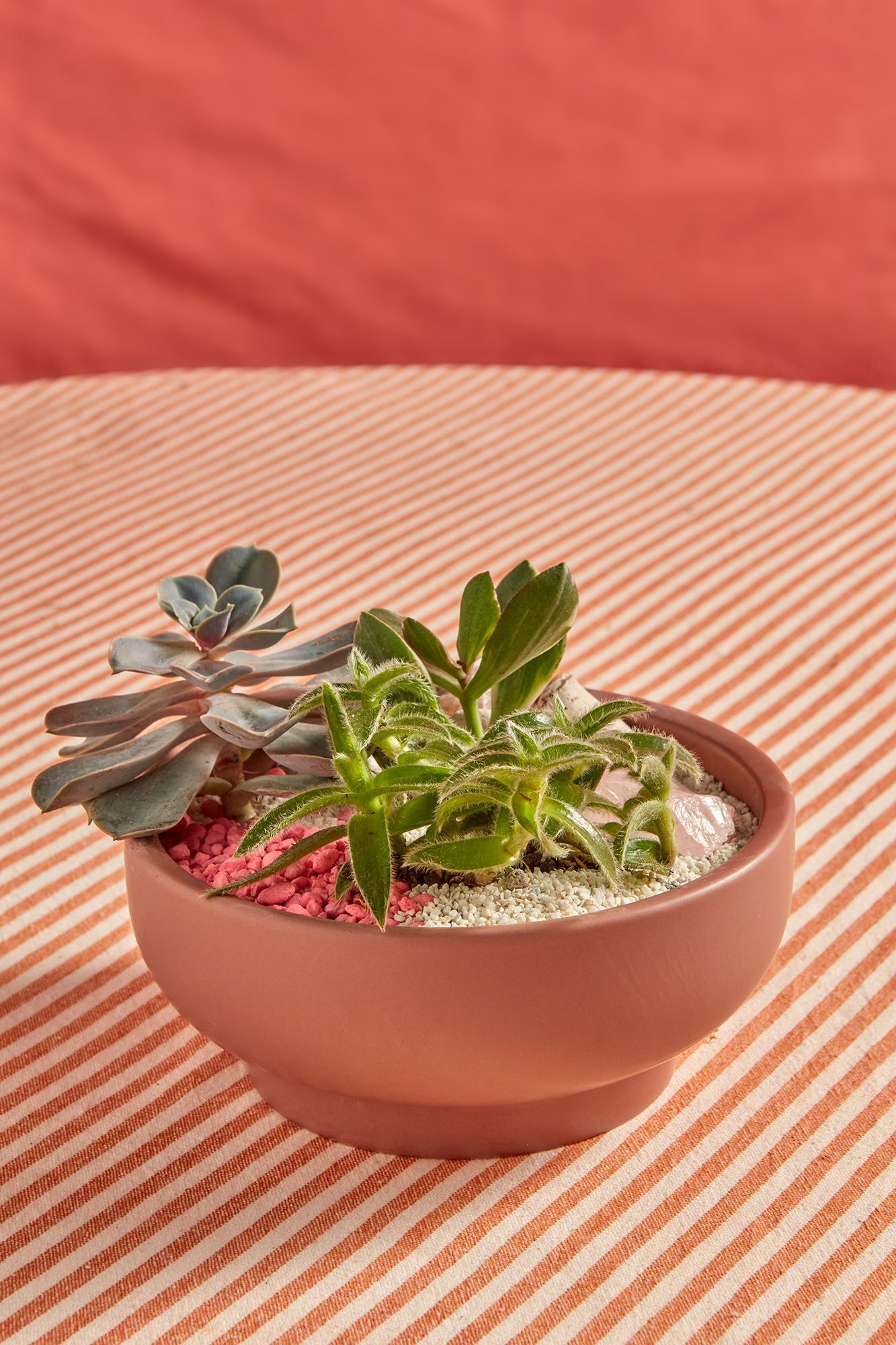 Valentine's Day Garden Bowls