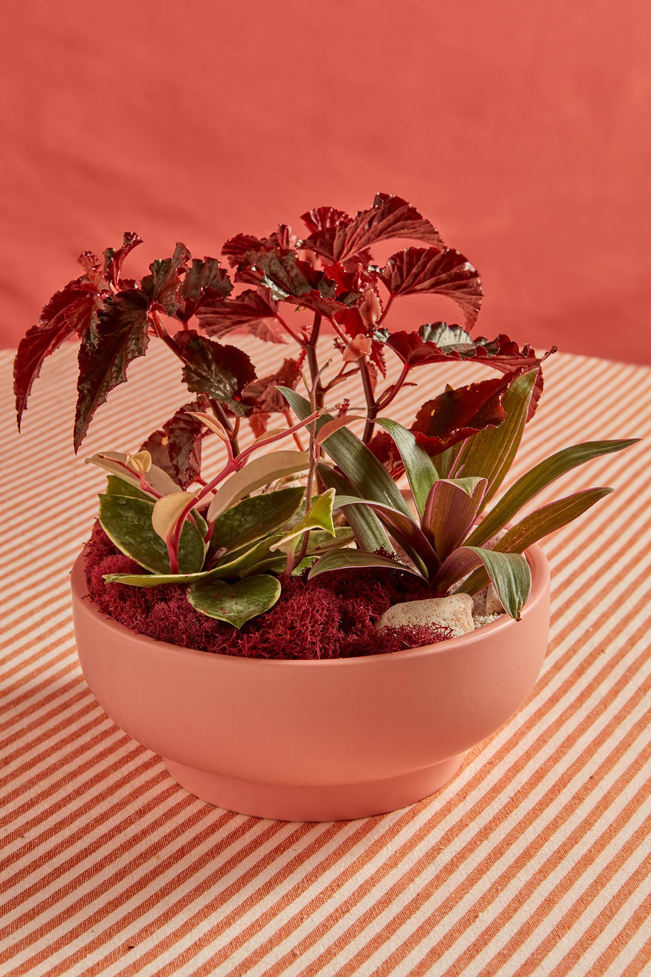 Valentine's Day Garden Bowls