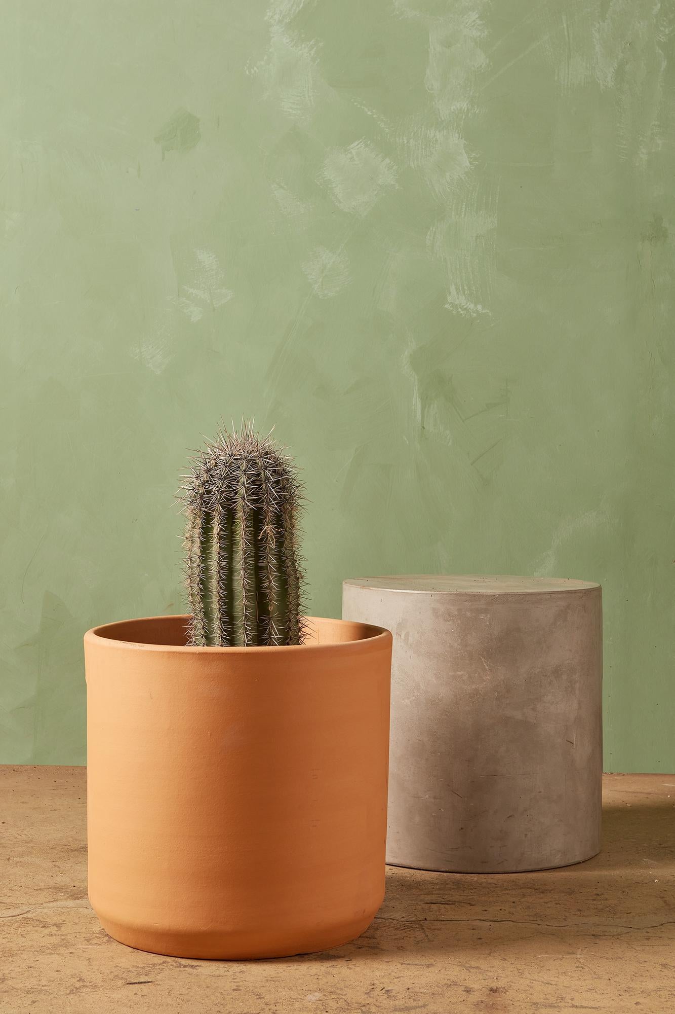 Golden Saguaro