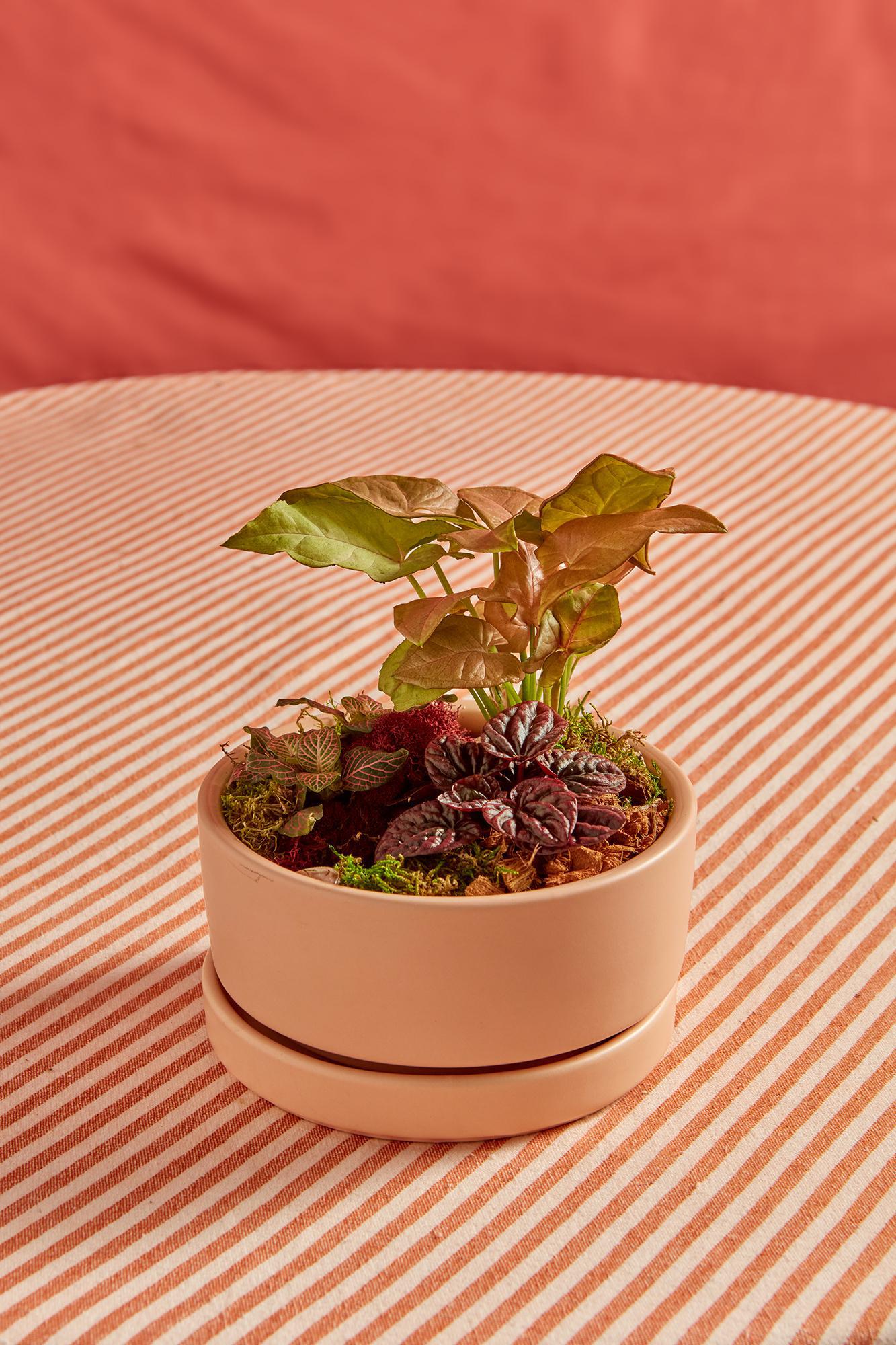 Valentine's Day Garden Bowls