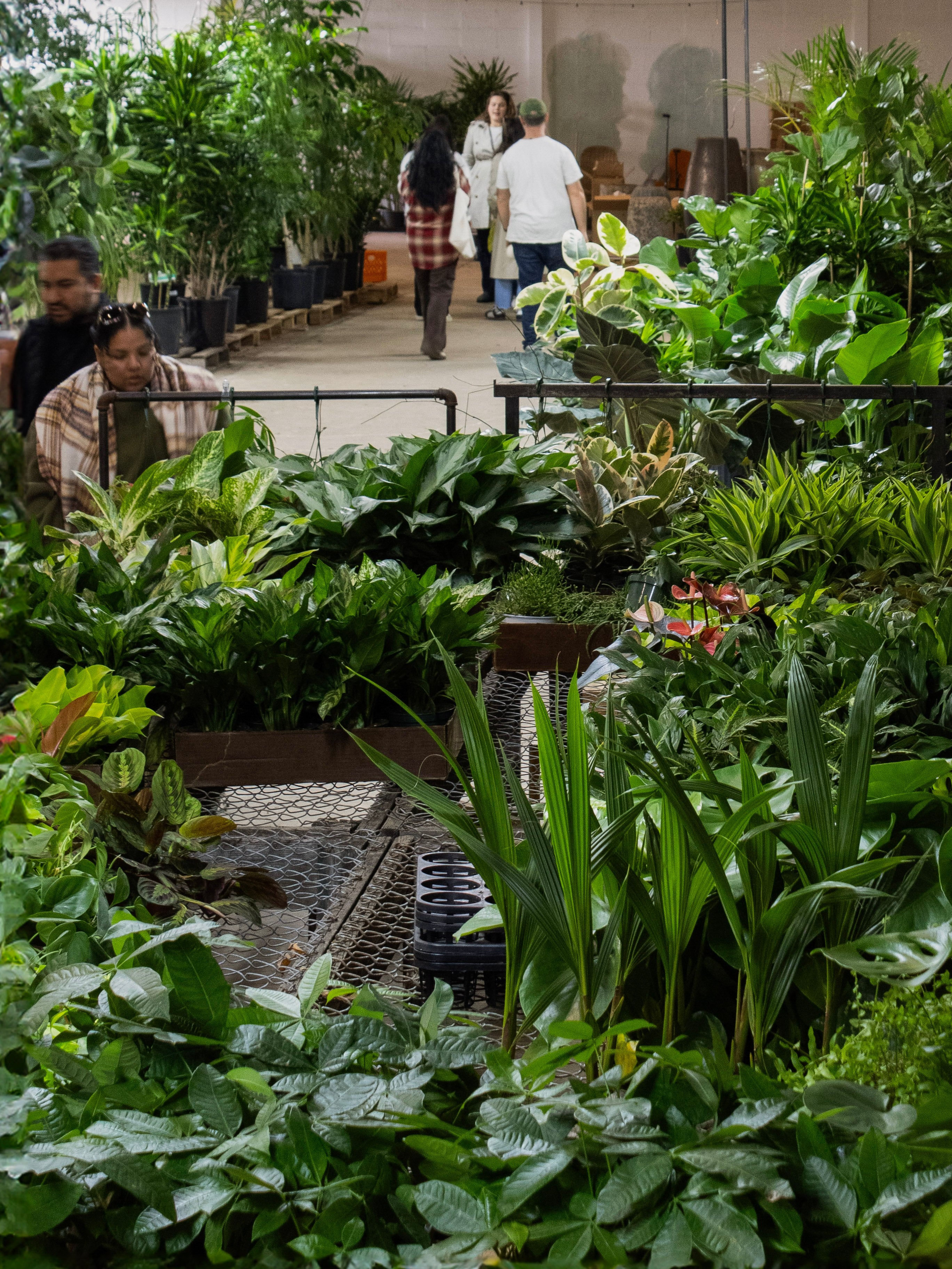 Shop Our Warehouse - Booking Deposit