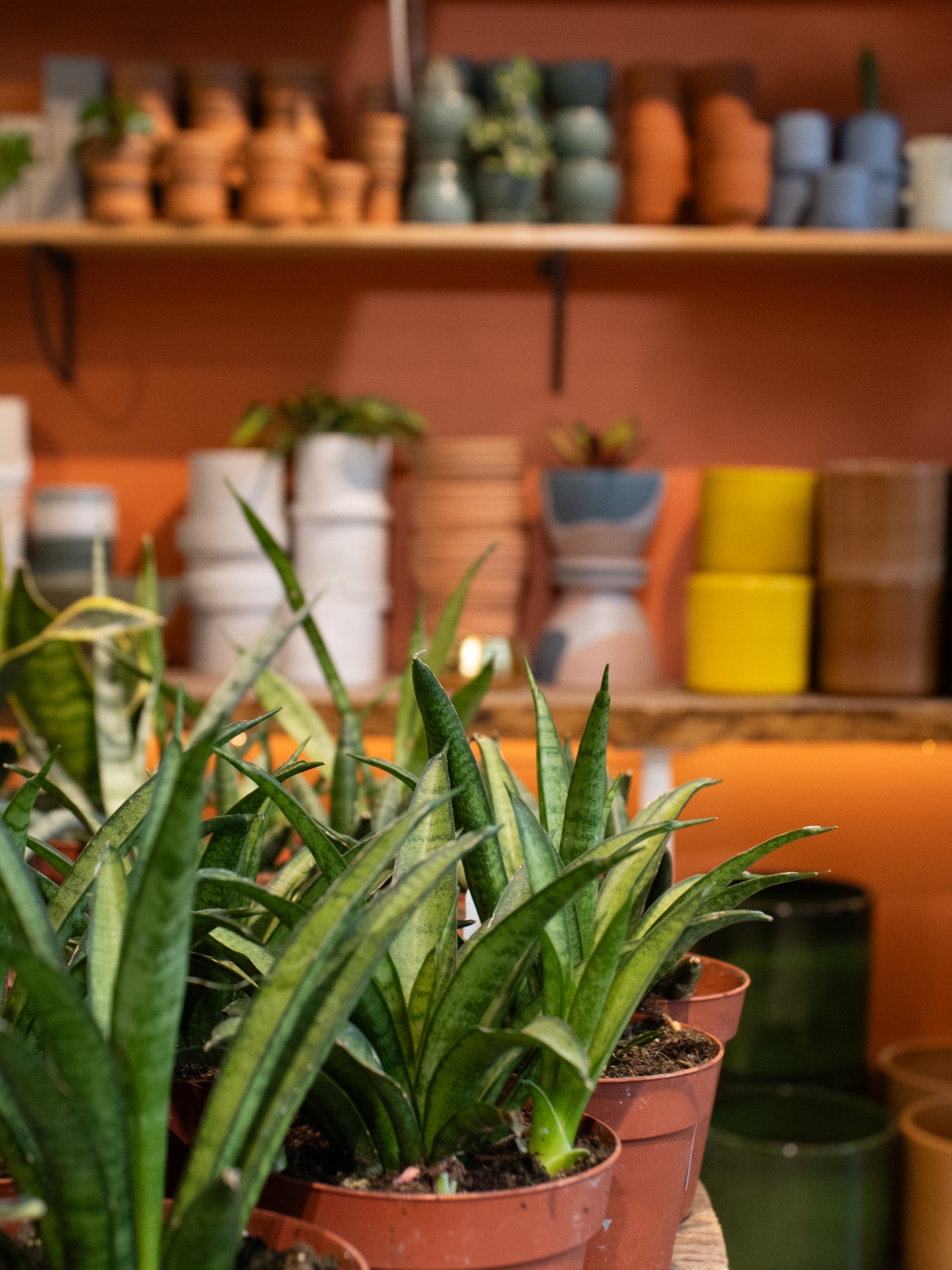 Slow & Steady Workshop @ Ballston Quarter - 7pm on April 30th