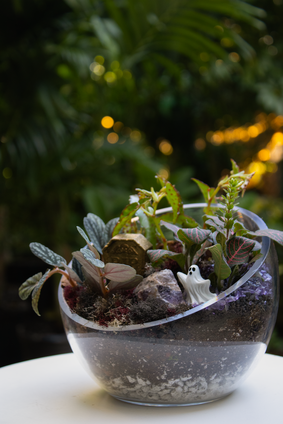 Terrifying Terrariums @ Ballston Quarter - 11am on October 25th