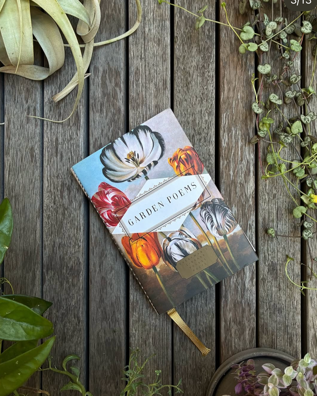 12/22 Plants + Poems Workshop @ 7PM REWILD Shaw