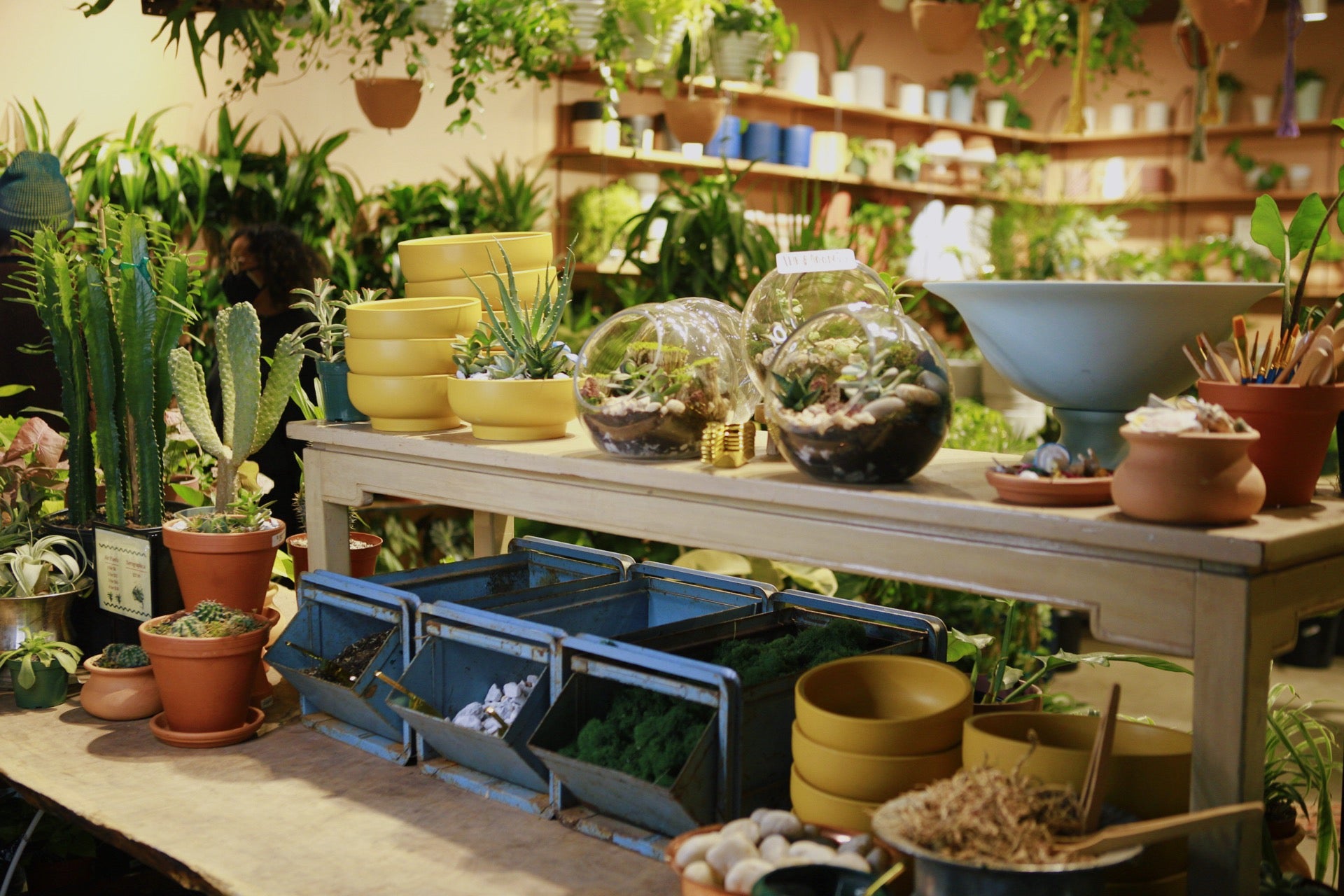 Terrarium Bar for Anacostia Watershed Society