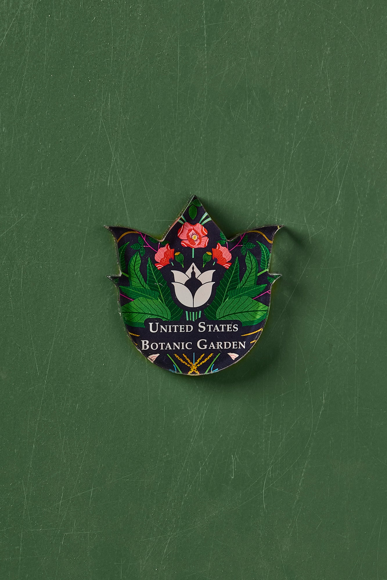 U.S. Botanic Garden: Fierce Flora