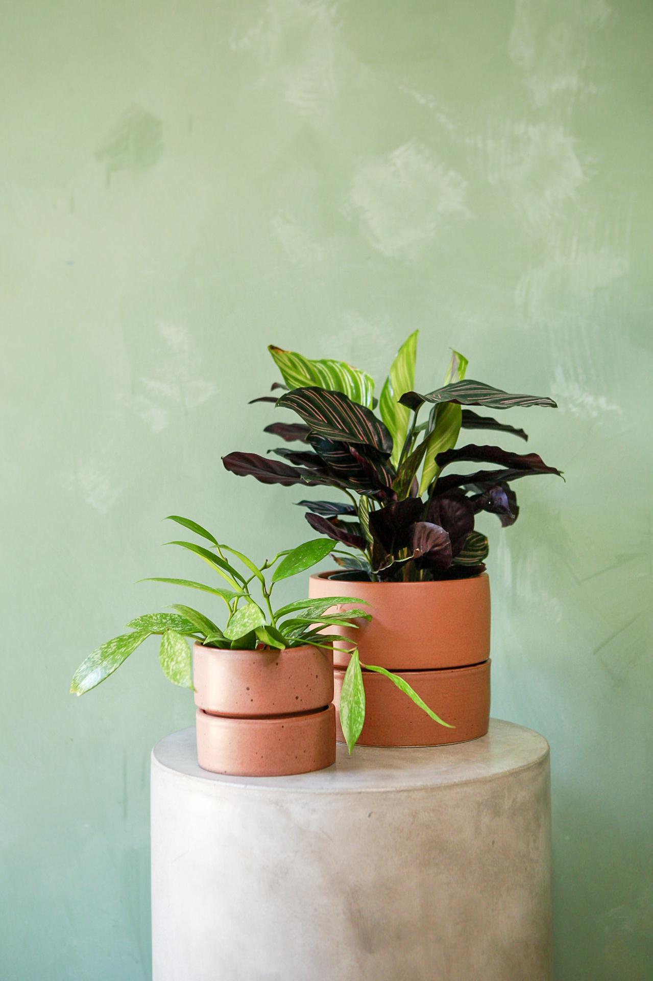 Material Things Reservoir Planter