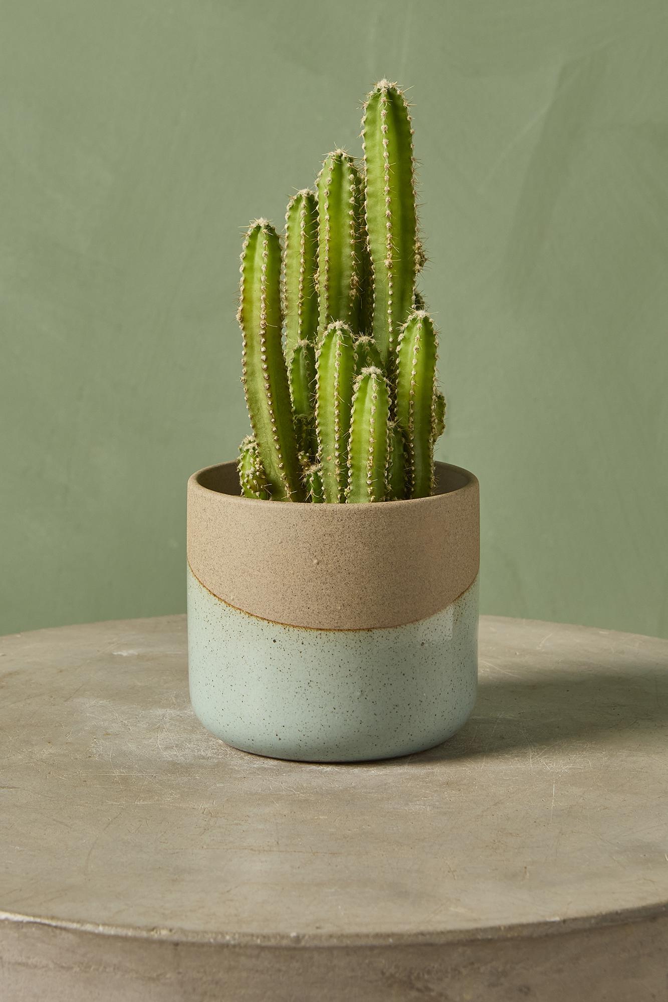 Alicante Planter