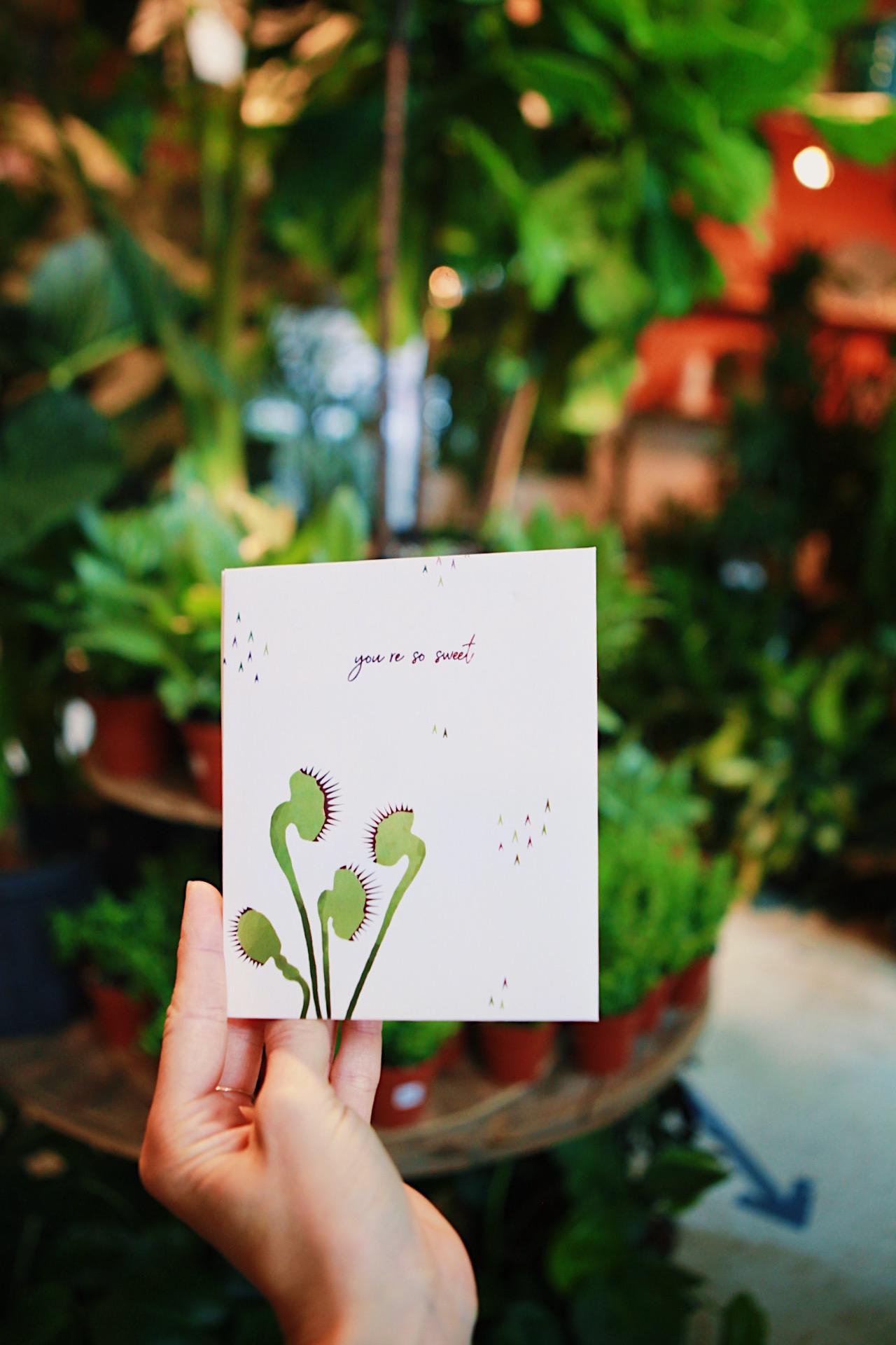 Venus Fly Trap Pop Up Card