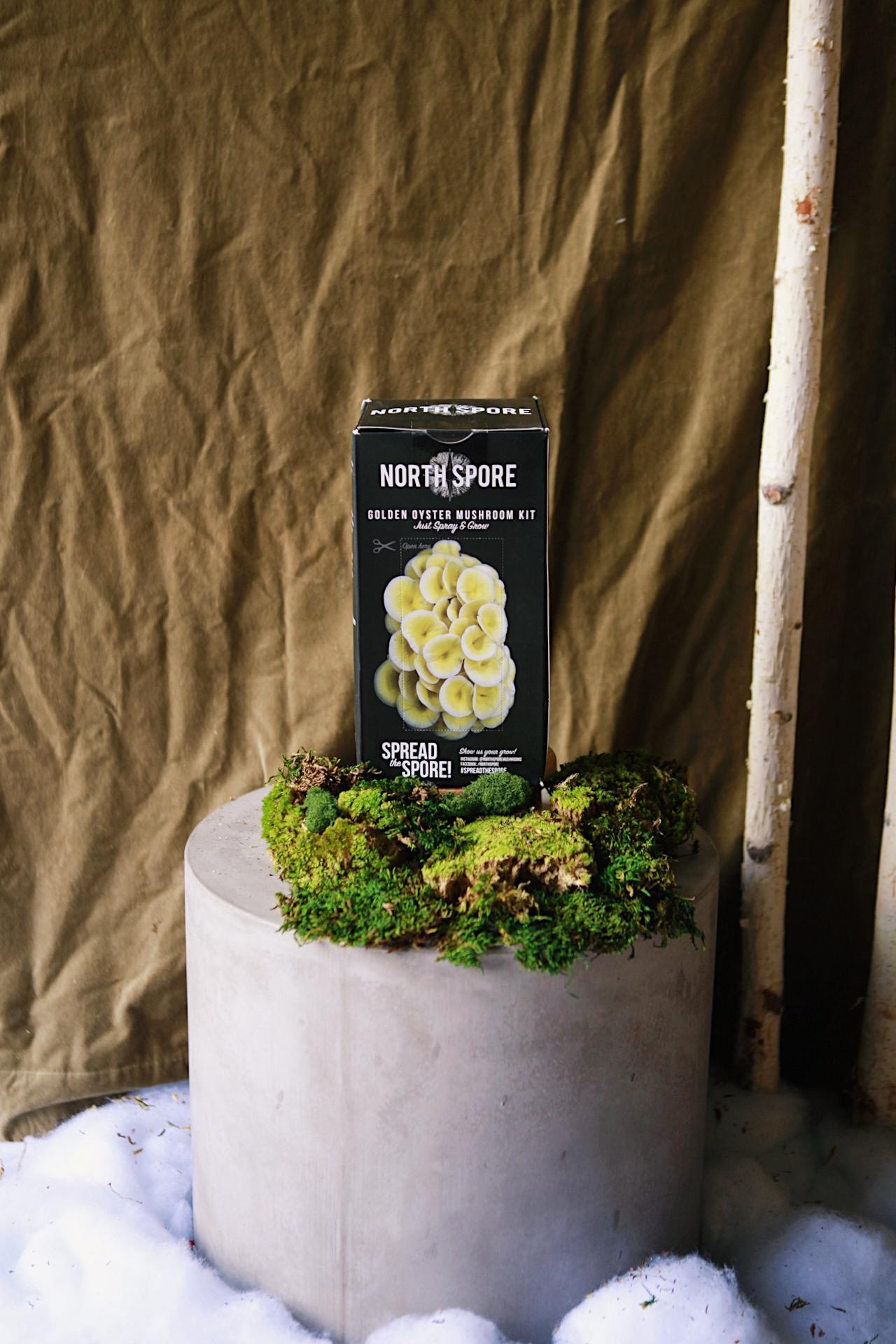 Spray and Grow Mushroom Kit