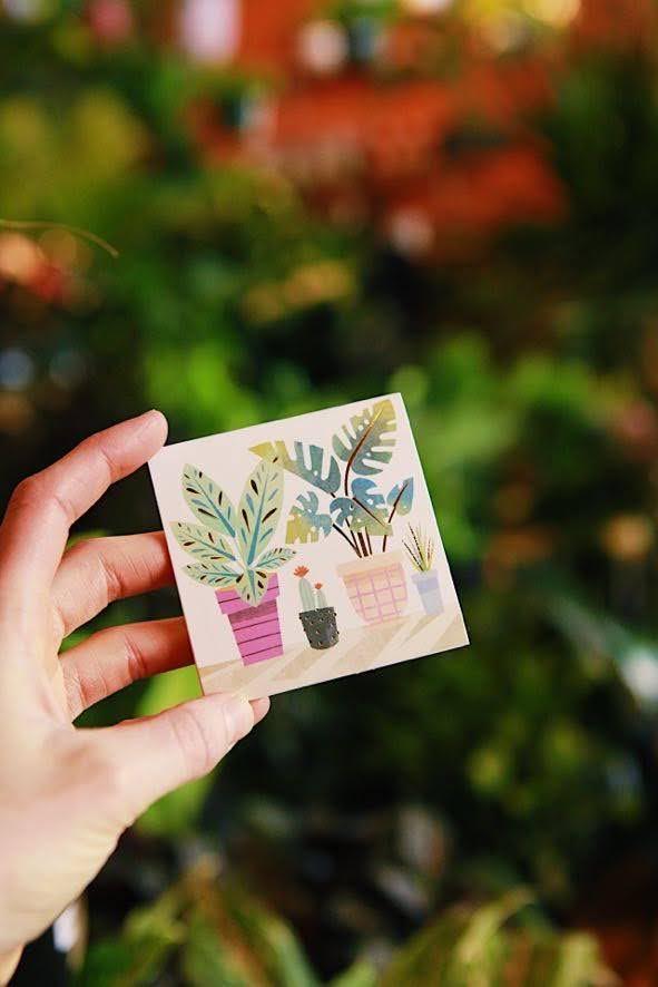 Potted Plants Mini Pop Up Card