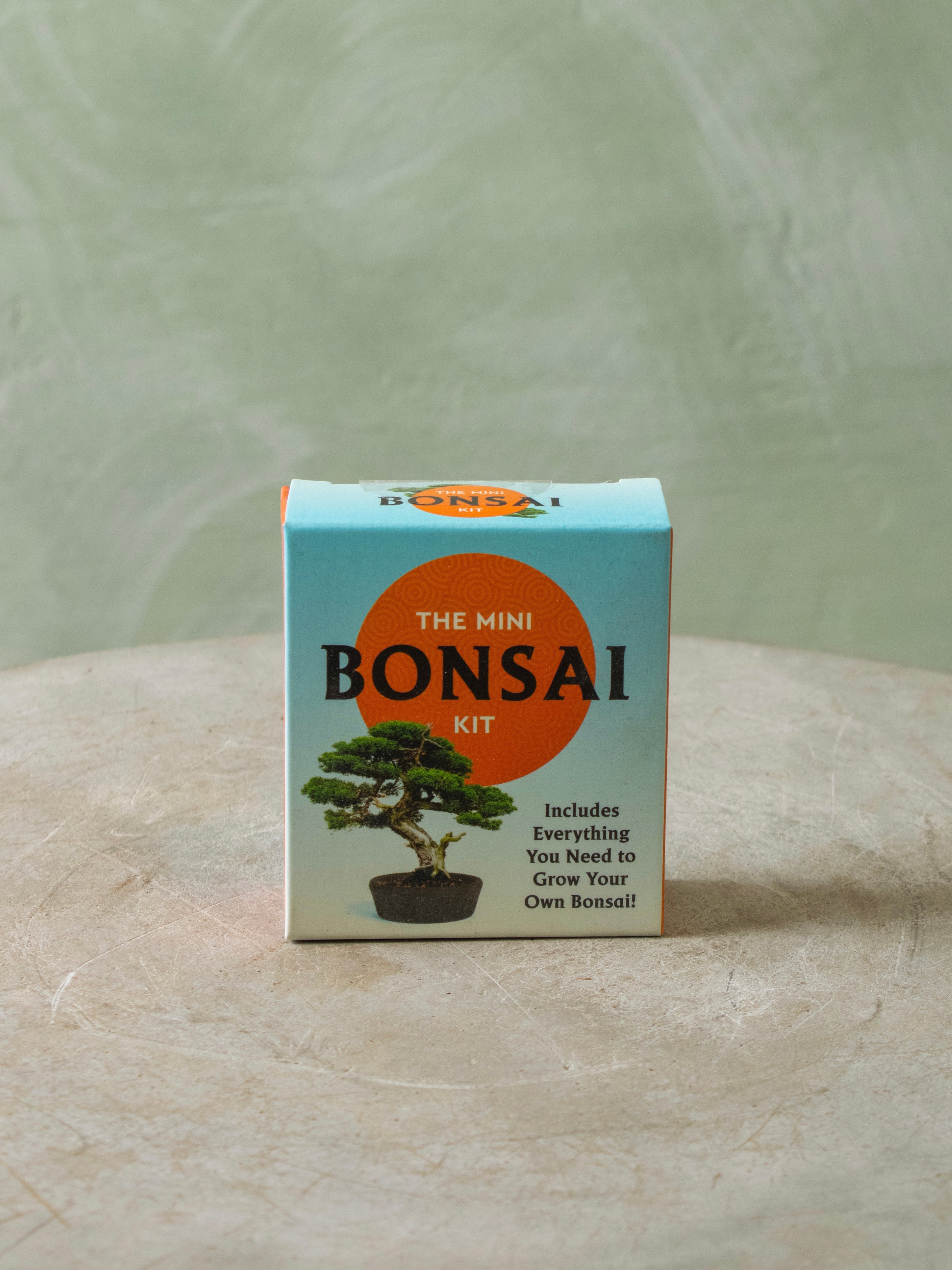 Mini Bonsai Kit