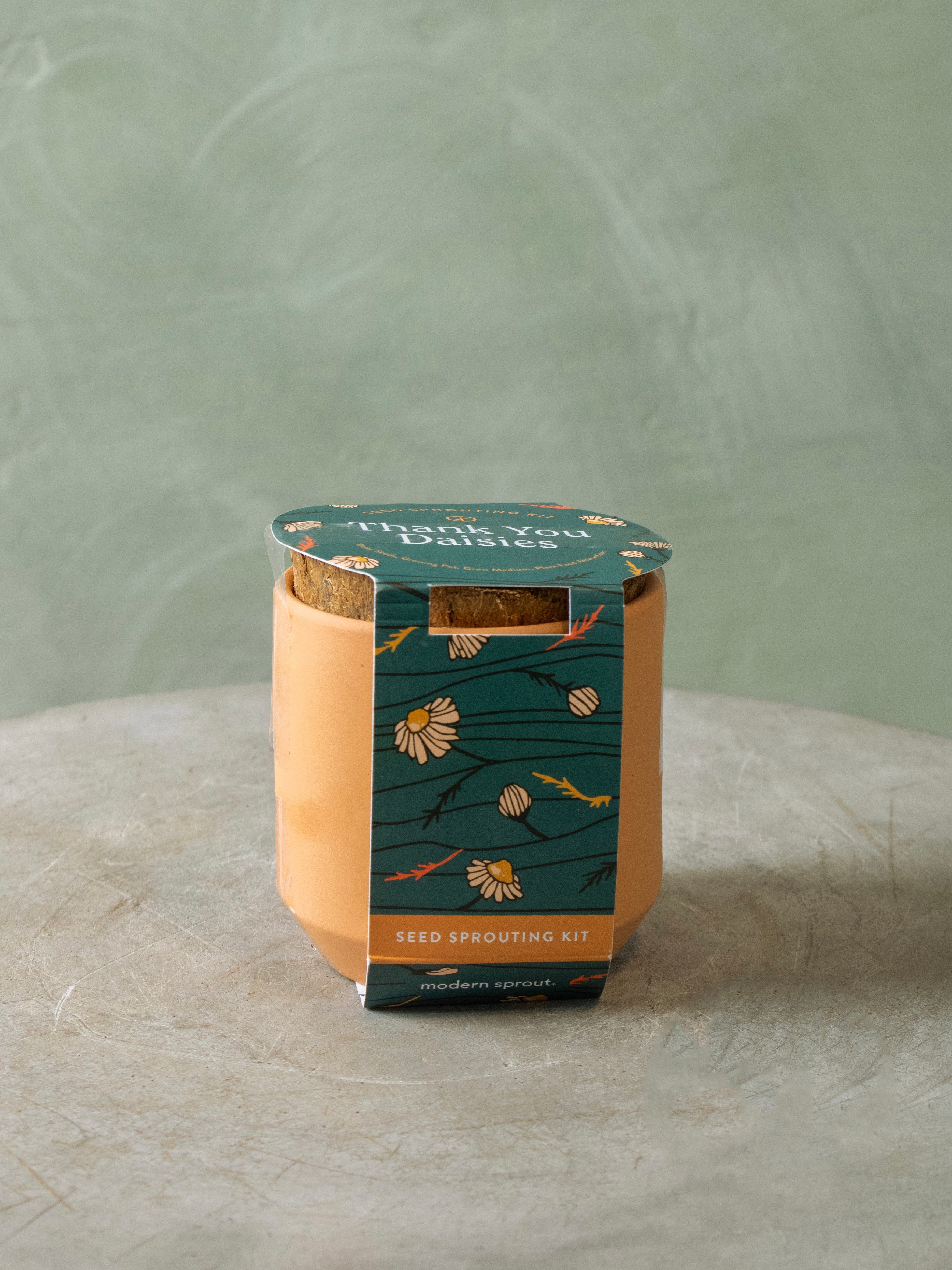 Tiny Terracotta Seed Sprout Kit