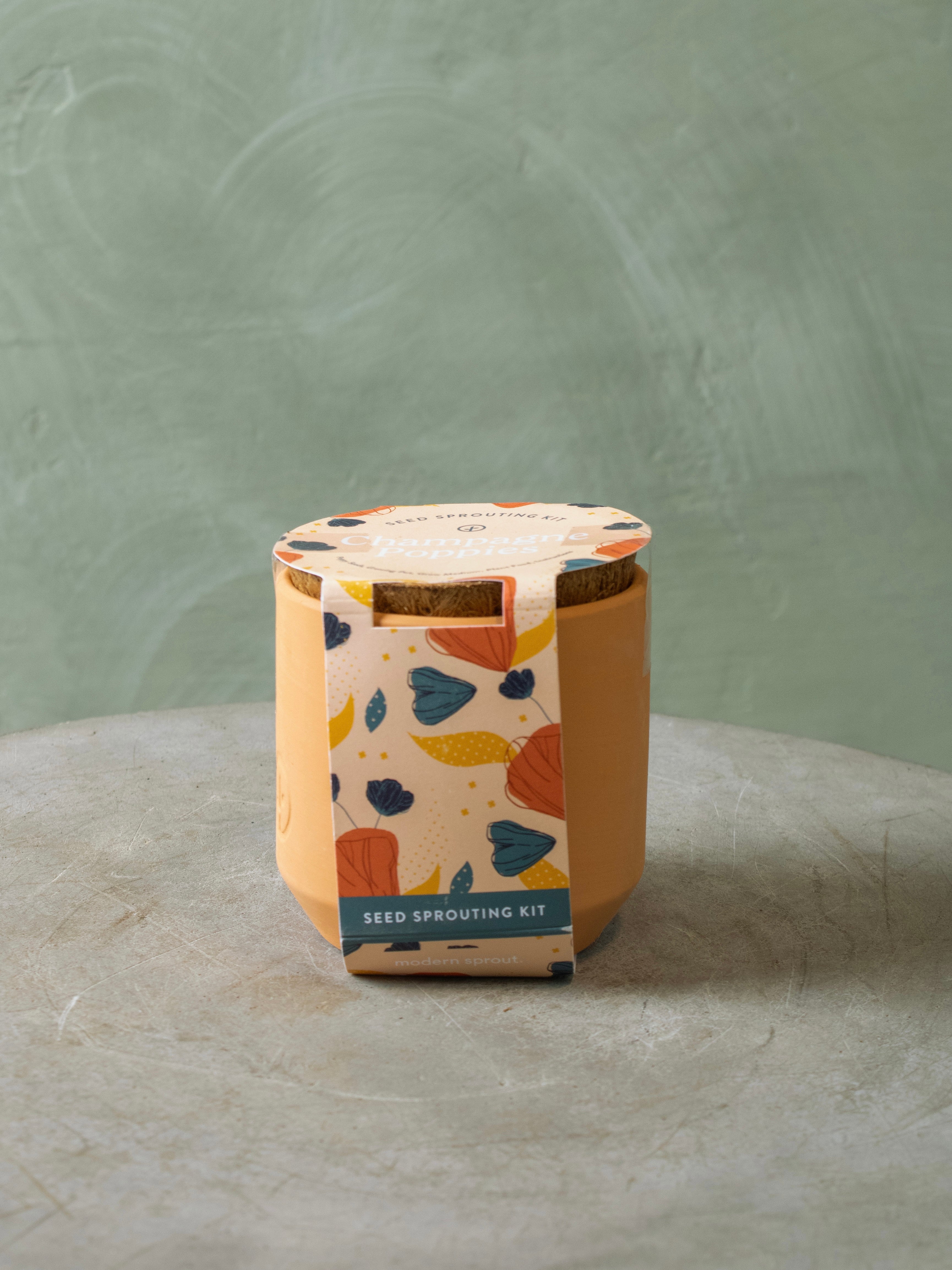 Tiny Terracotta Seed Sprout Kit