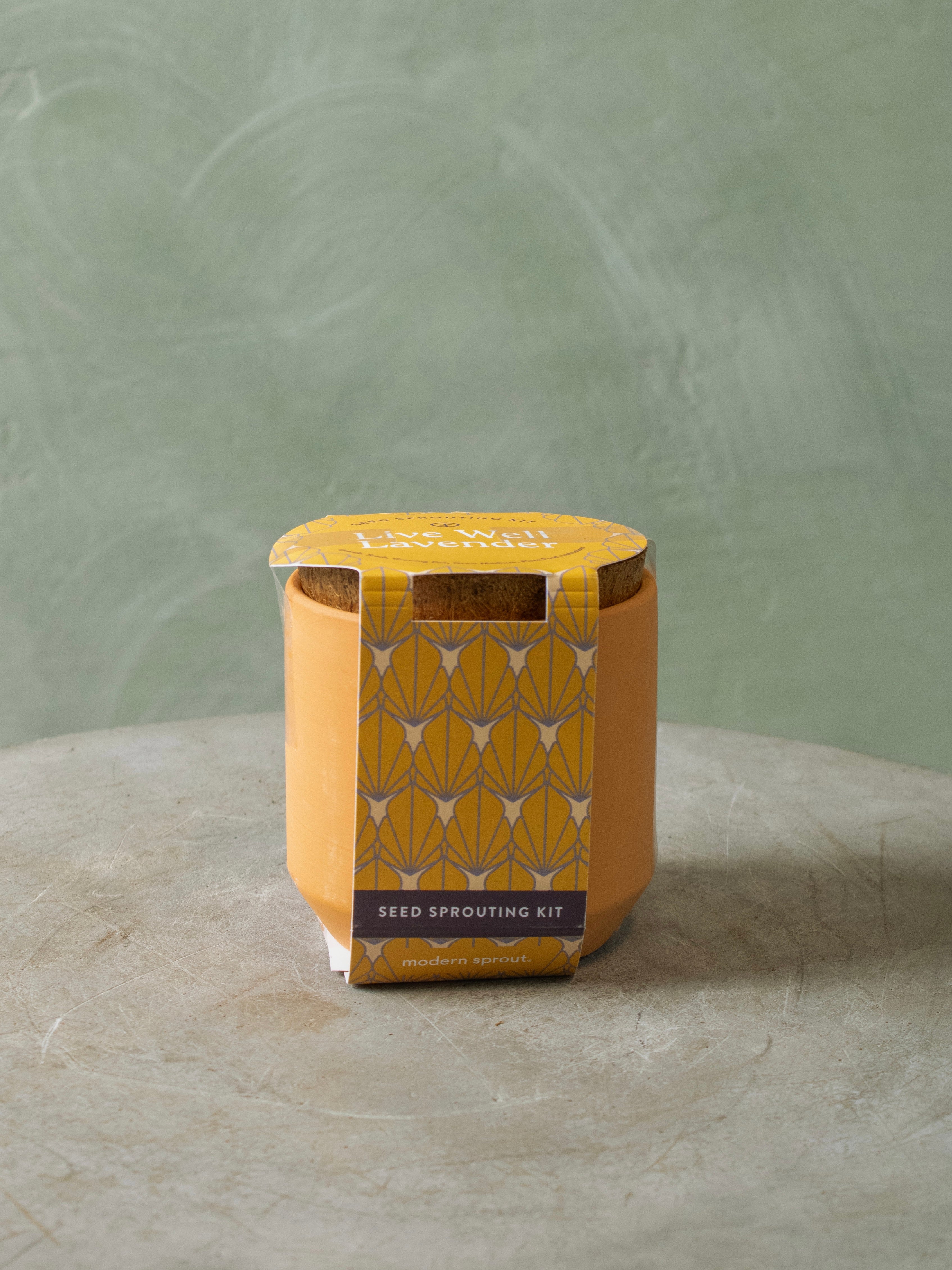 Tiny Terracotta Seed Sprout Kit