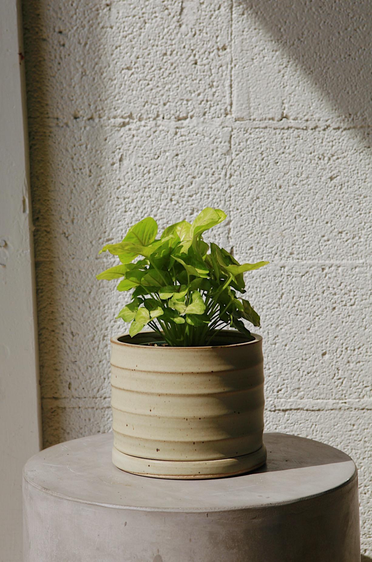 Material Things Tide Planter