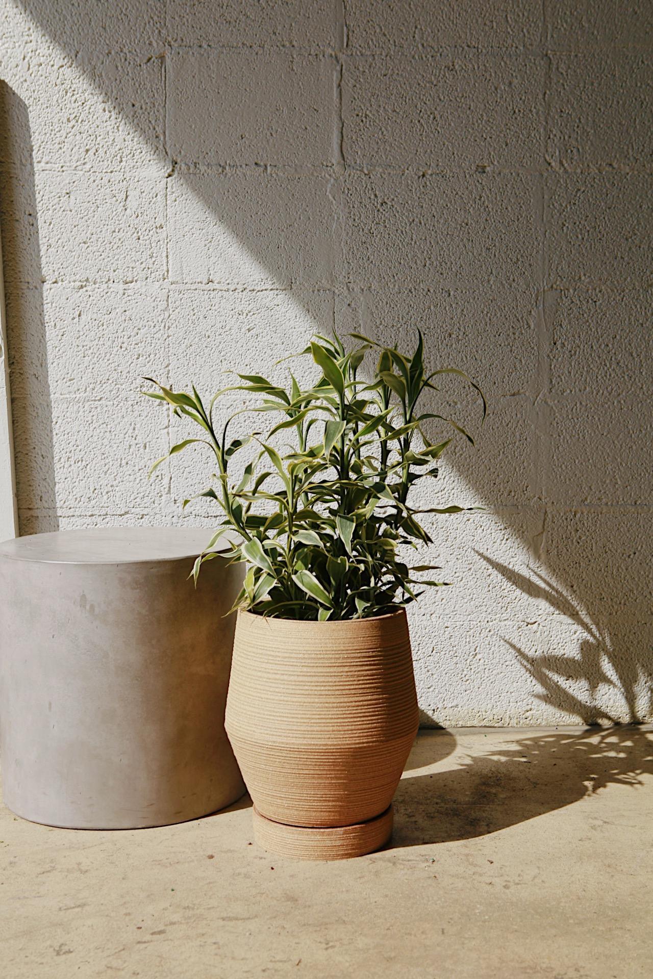 Material Things Basket Planter