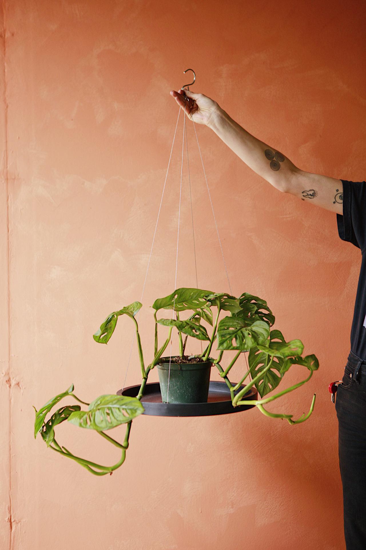 Ecopots Hanging Saucer