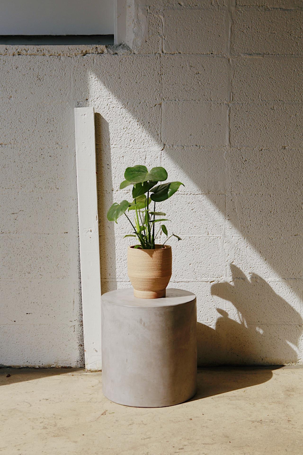 Material Things Basket Planter