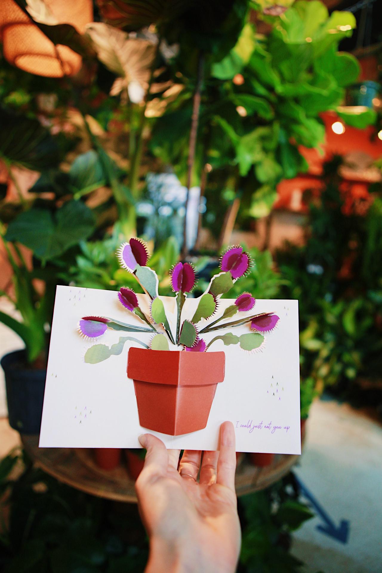 Venus Fly Trap Pop Up Card