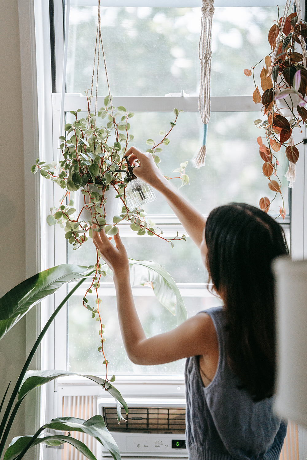 Five signs that you’re overwatering your plants