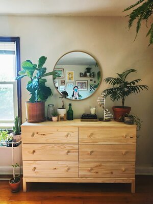 How to fit 91 plants in 557 square feet