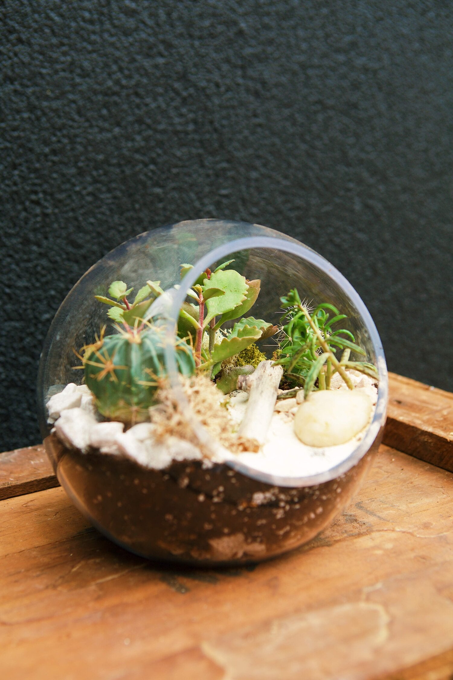 Create a Miniature Landscape in a Terrarium