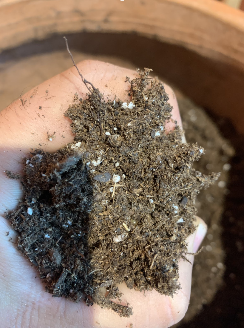 What Is In My Soil?