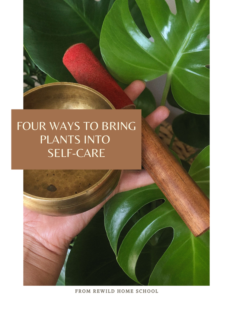 Four Ways To Bring Plants into Self-Care