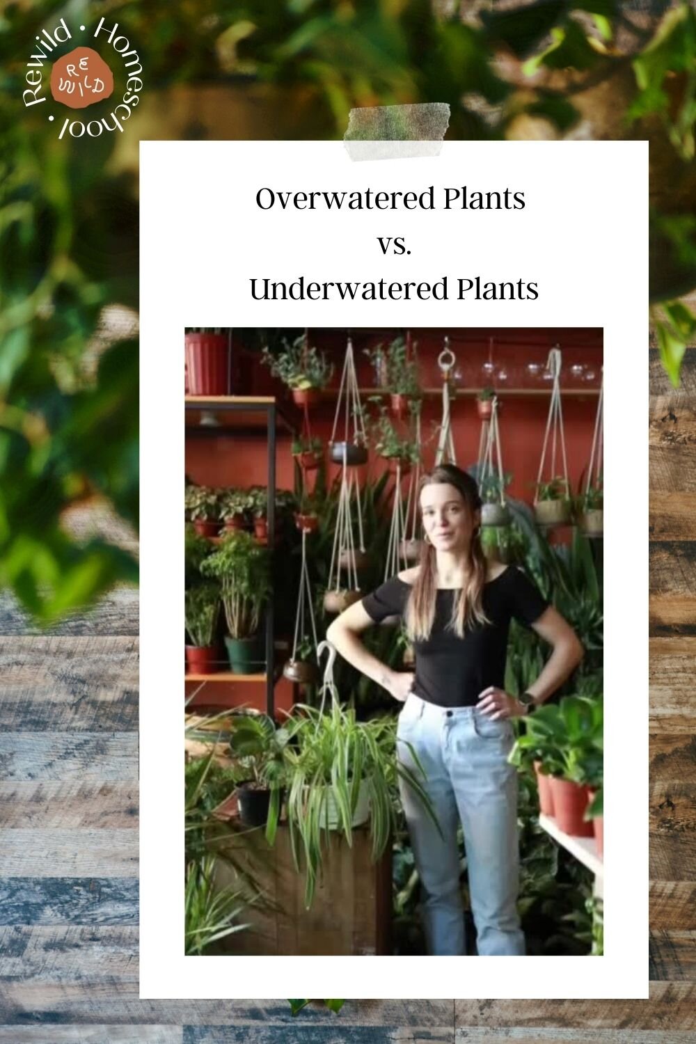 The Subtle Difference Between Overwatering and Underwatering