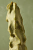 Totem Pole Cactus