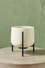 Cosimo Planter