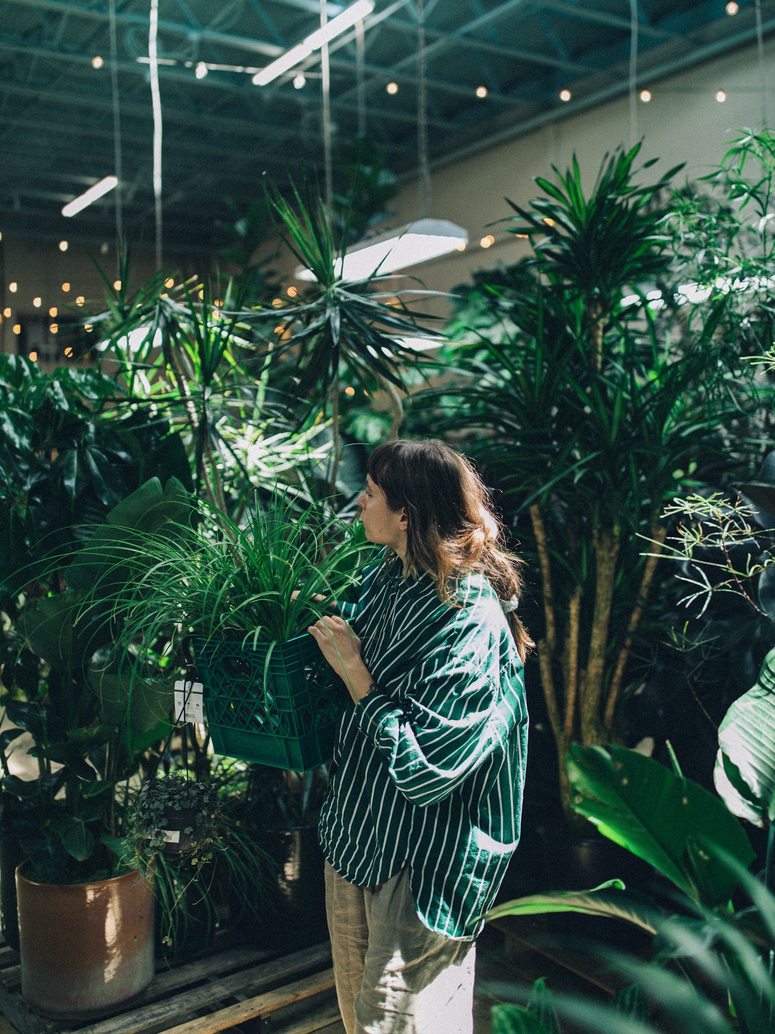 Shop Our Warehouse - Booking Deposit