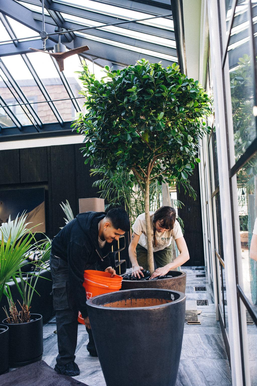 house plant service Plant Health Service
