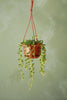 String of Bananas