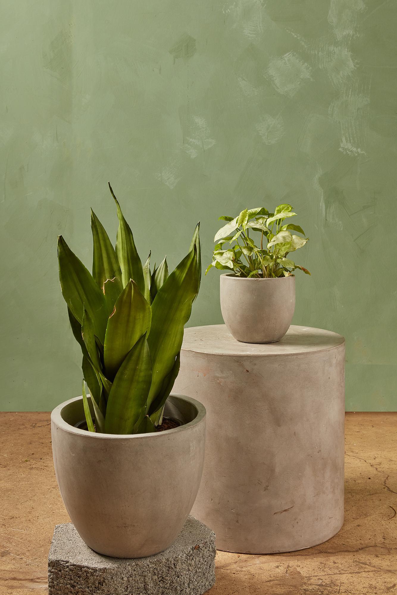 Aggregate Planter