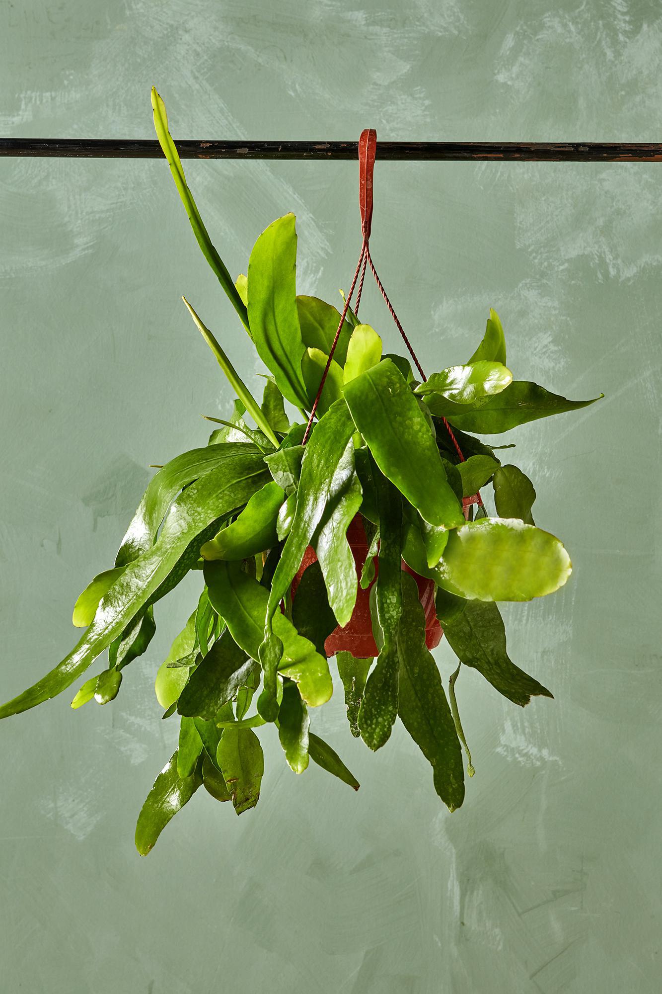 Products – Page 27