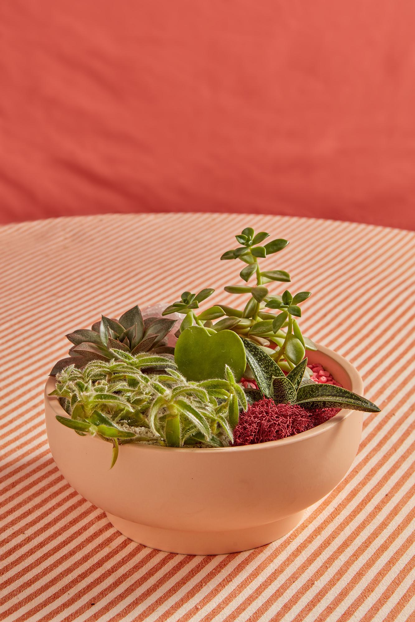 Valentine's Day Garden Bowls