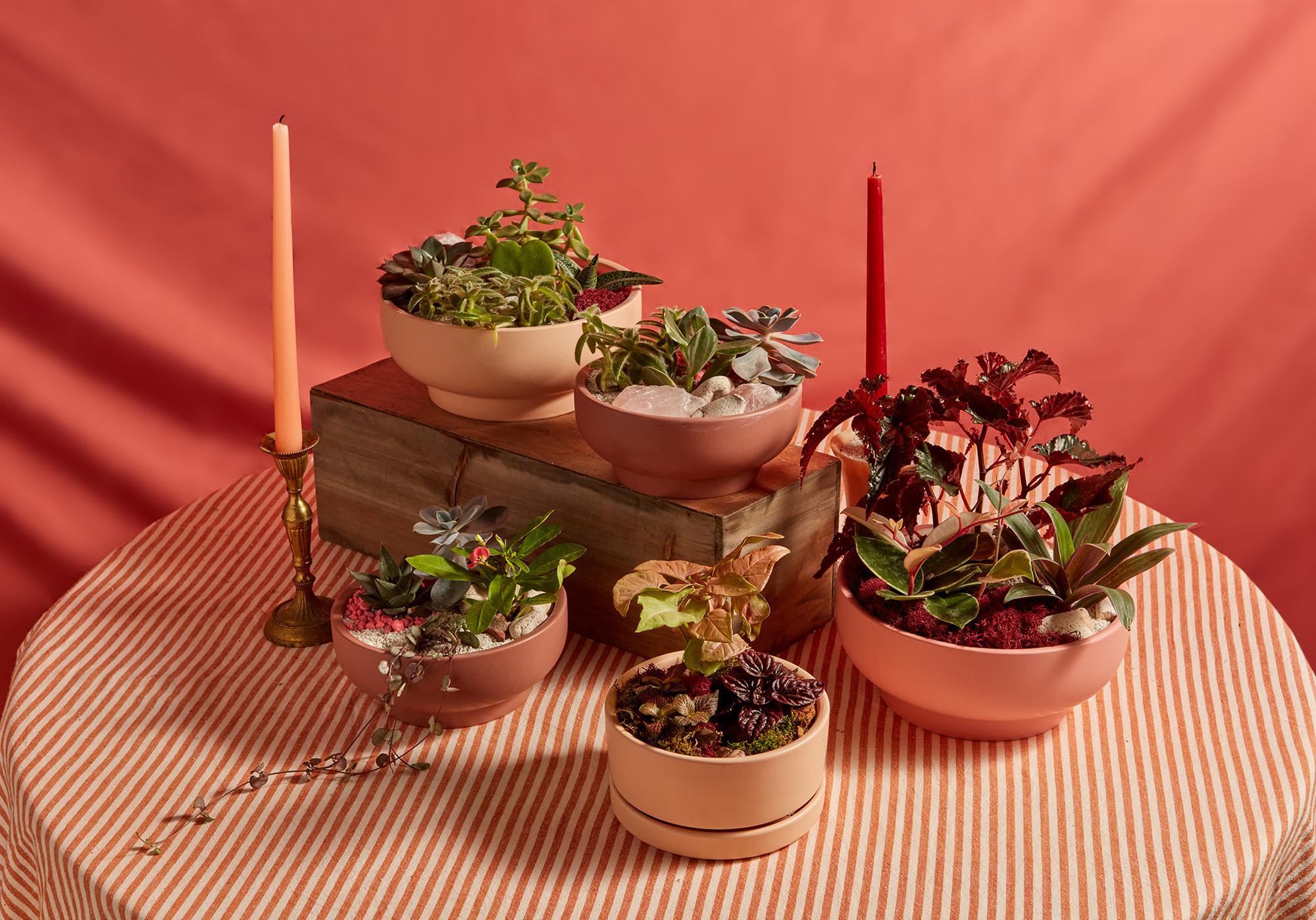 Valentine's Day Garden Bowls