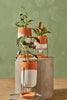 Clay Funnel Planter