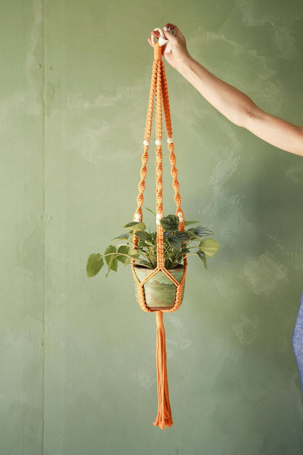 yellow macrame plant hanger Vivian's Macrame