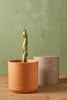 Totem Pole Cactus