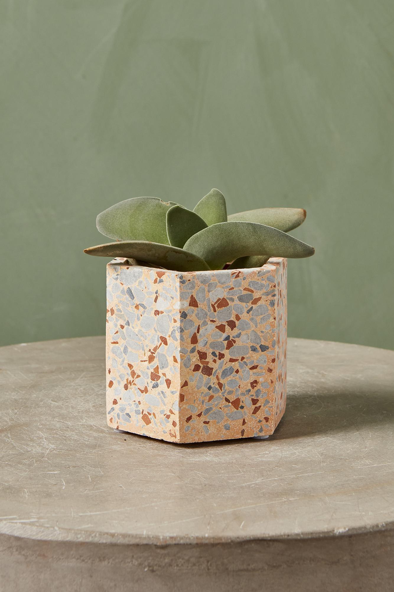 Torrone Pot