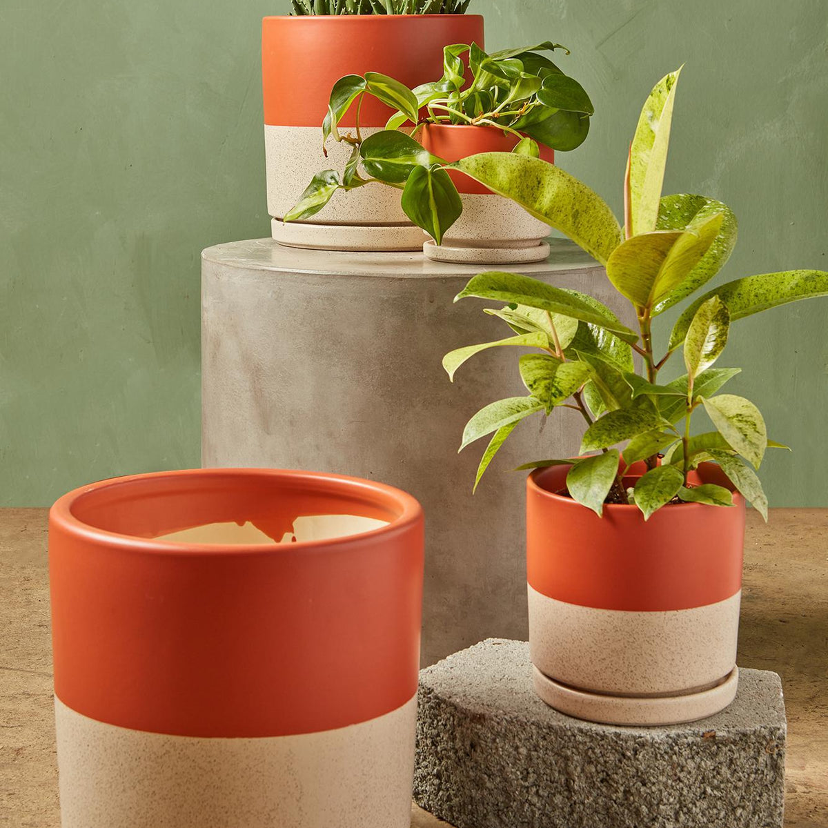myer plant pots Momma Pots