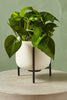 Cosimo Planter